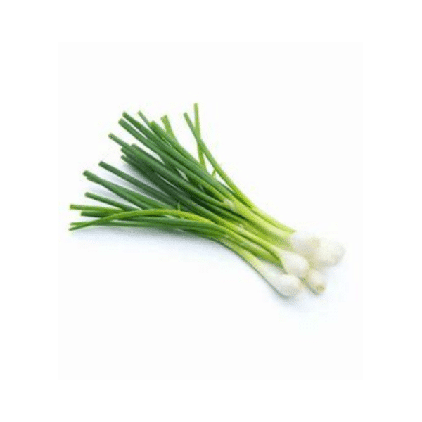 Onion (Spring)